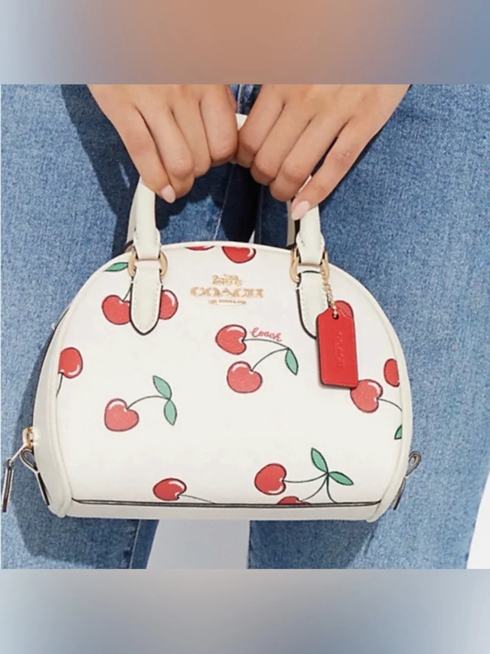 Coach 🍒 Cherry & Purse New With Tags - Picture 5 of 10